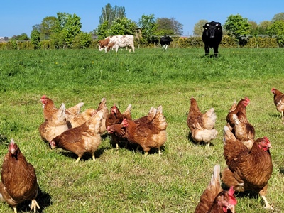 ophokplicht opgeheven